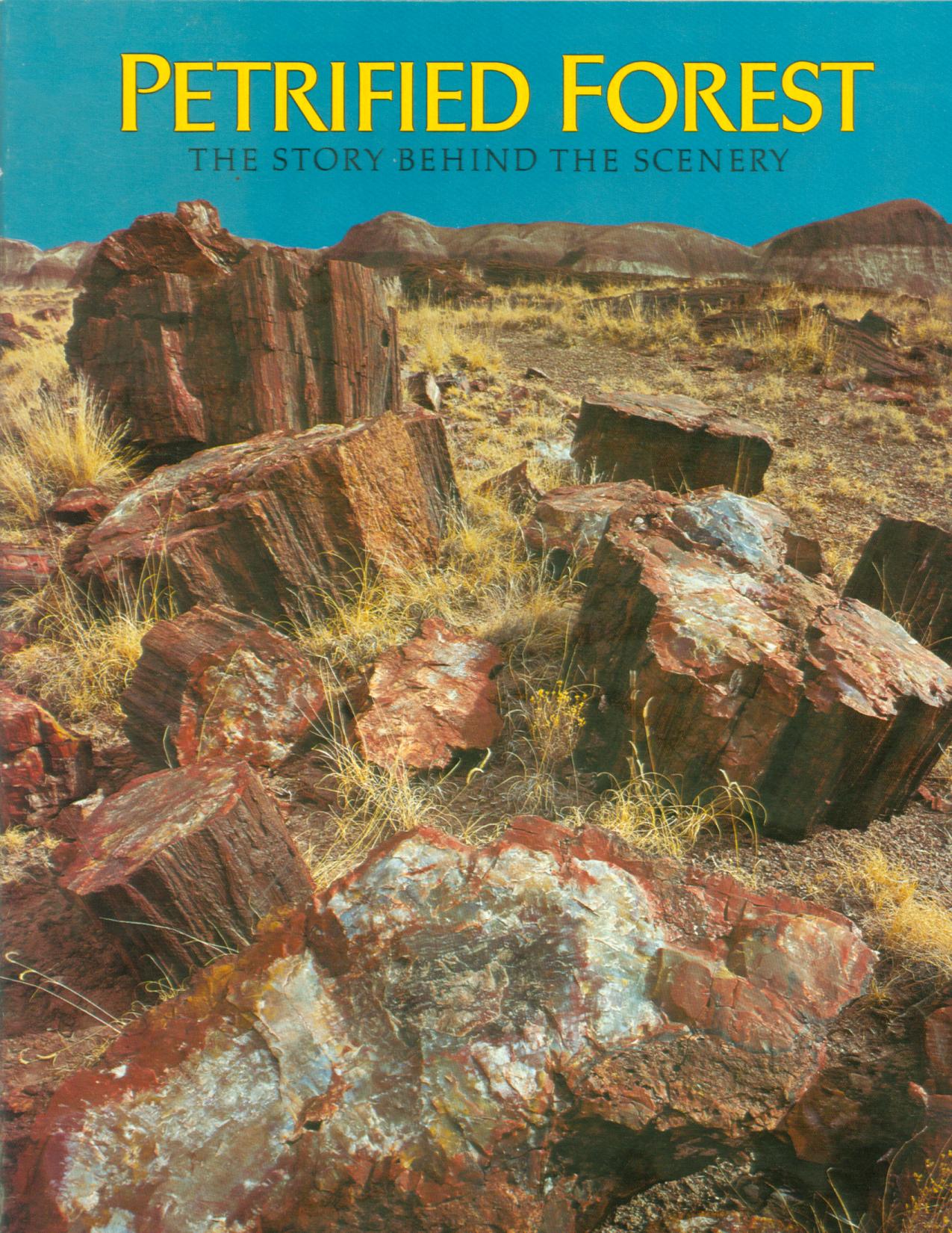 PETRIFIED FOREST: the story behind the scenery. 